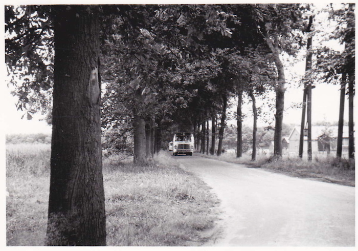 gjc-1955-bus