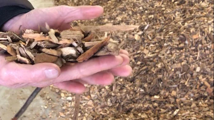 hout biomassa