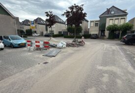 Assendelft-juli-2025-Ris-stenen-D