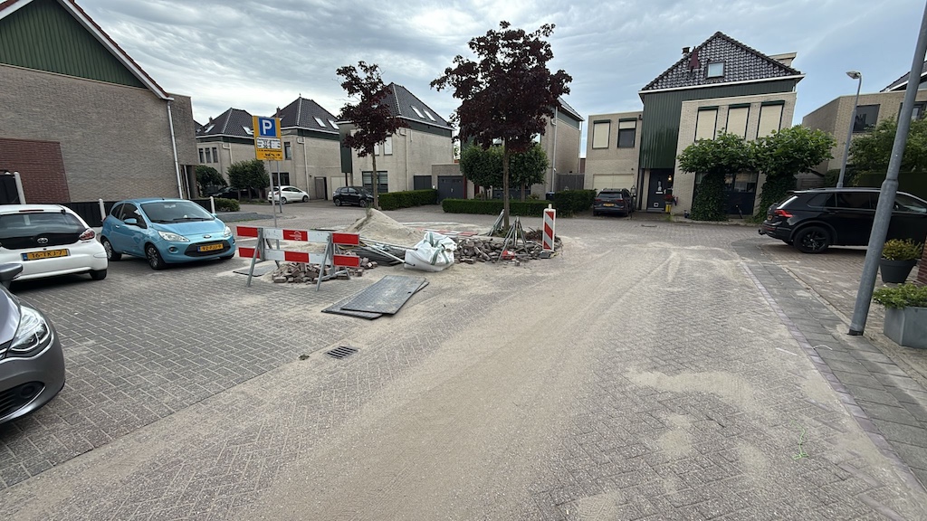 Assendelft-juli-2025-Ris-stenen-D