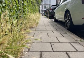 Groen-hek-Boschjesstr-Koog-16-juli-25-M.-Kors