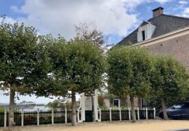 overtuin-hoogstraat-koog-sept-2025-M.-Kors
