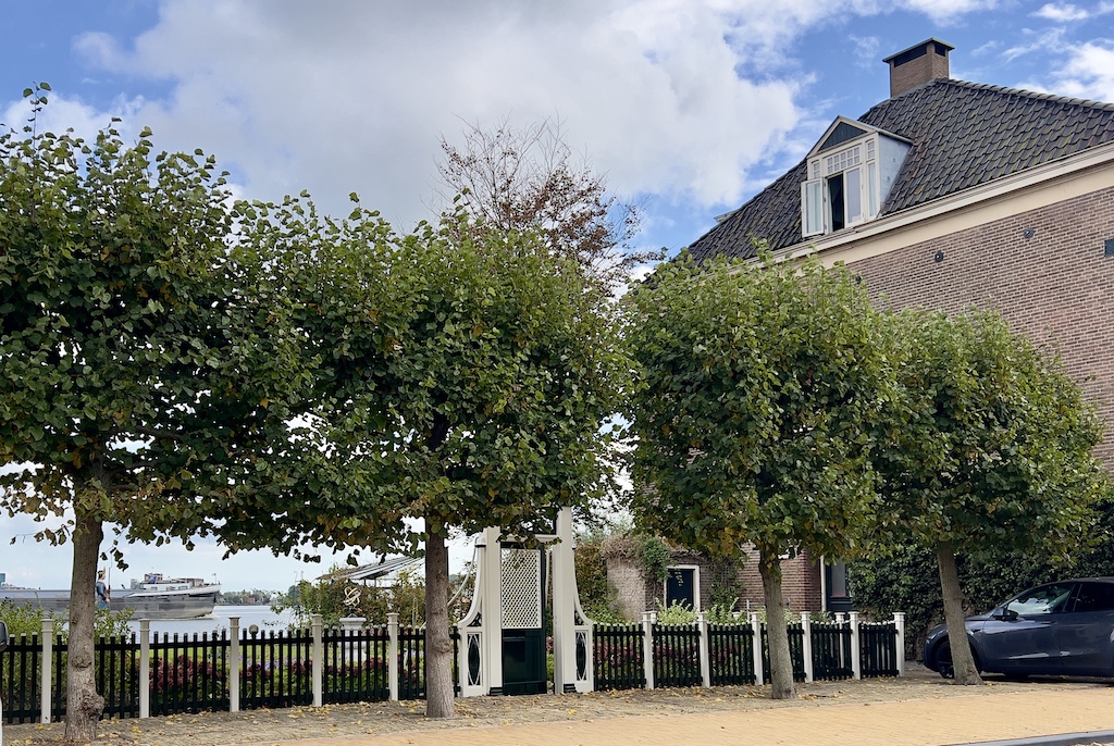 overtuin-hoogstraat-koog-sept-2025-M.-Kors