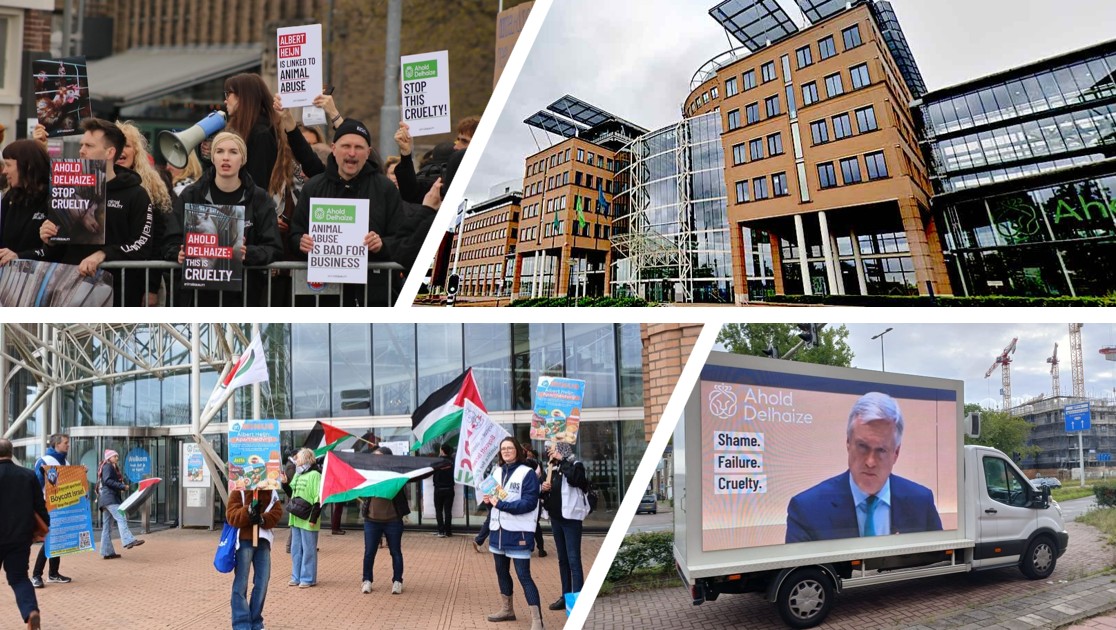 Ahold Delhaize over demonstraties