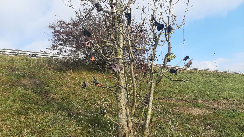 50woordenfoto: Handschoenenboom