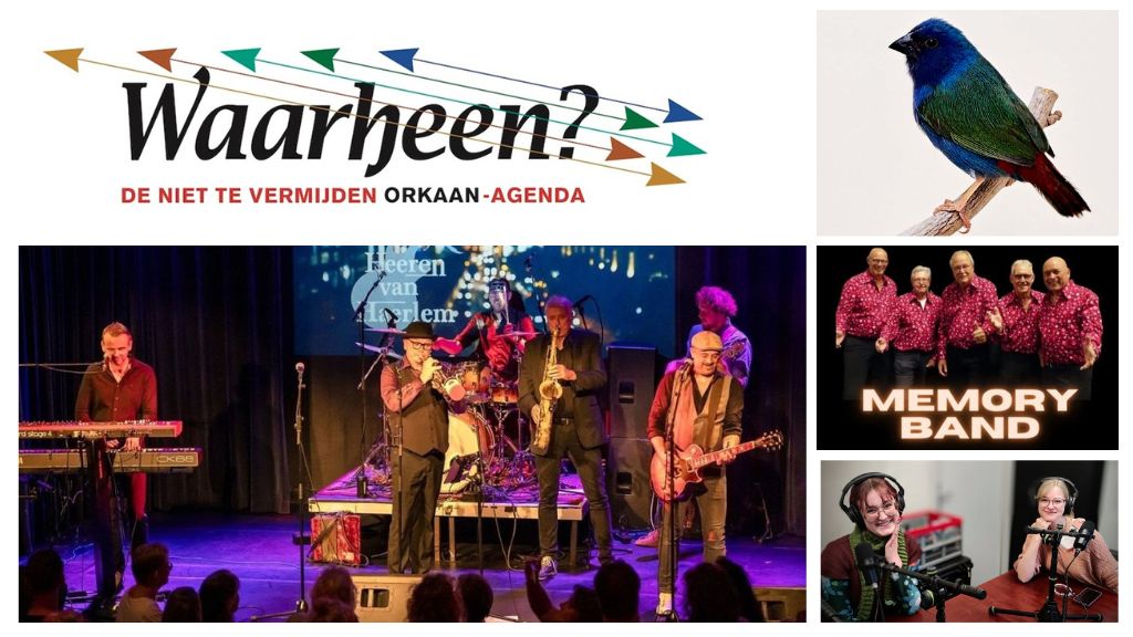 Waarheen: Sanne Zeik, vogelshow, Boostzaan??