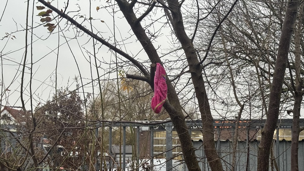 50woordenfoto: aan de wilgen