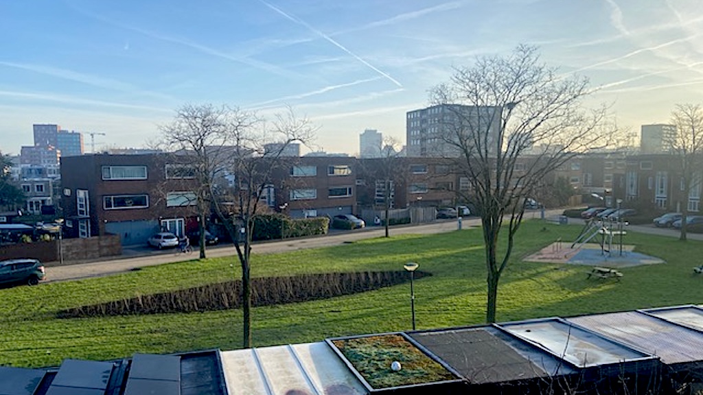 Vogelbosje in plaats van voetbalveld