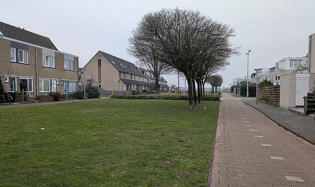 Bewoners niet blij met struiken en boom voor de deur??