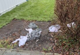 Klerezooi-koog-ad-zaan-jan-2026-m.-kors