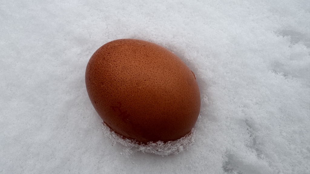 PFAS-onderzoek Zaanstad: op twee locaties verhoogde waarden