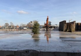 mooi-uitzicht-koog-ad-zaan-jan-2026-marion-kors