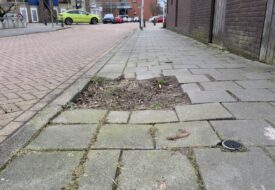 skeve-tegels-groenland-zdam-jan-2026-m.kors-B