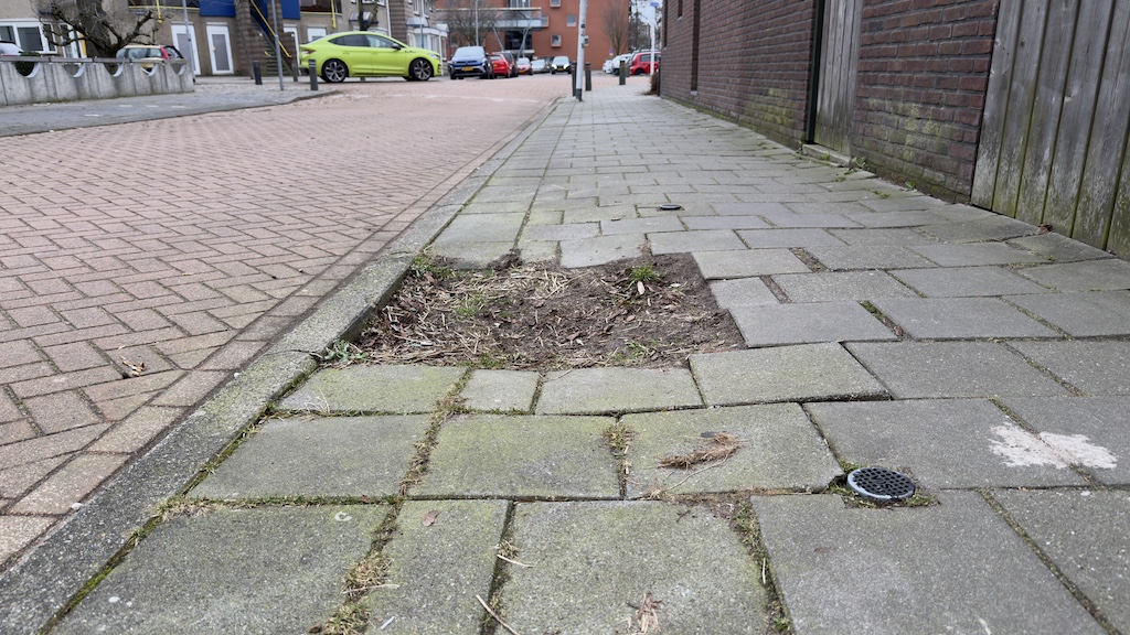 Skeve tegels, struikelend door de Zaanstreek: Groenland Zaandam