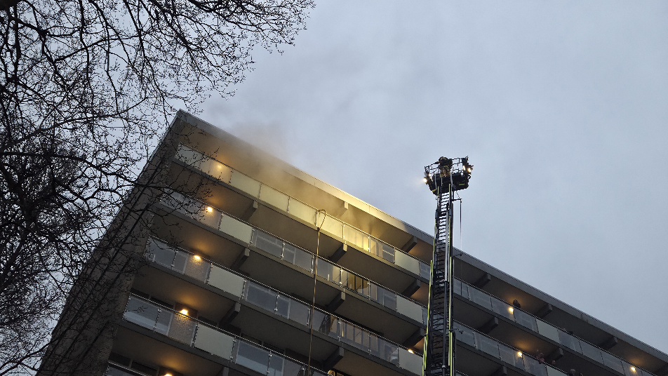 Twee katten overleden bij brand in flat Zilverschoonlaan (Krommenie)