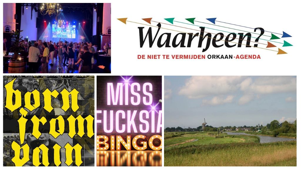 Waarheen: Natuurwerkochtend, speurtocht, Muziek2000Café??