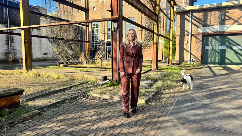 D66 analyse: Kan het wel?