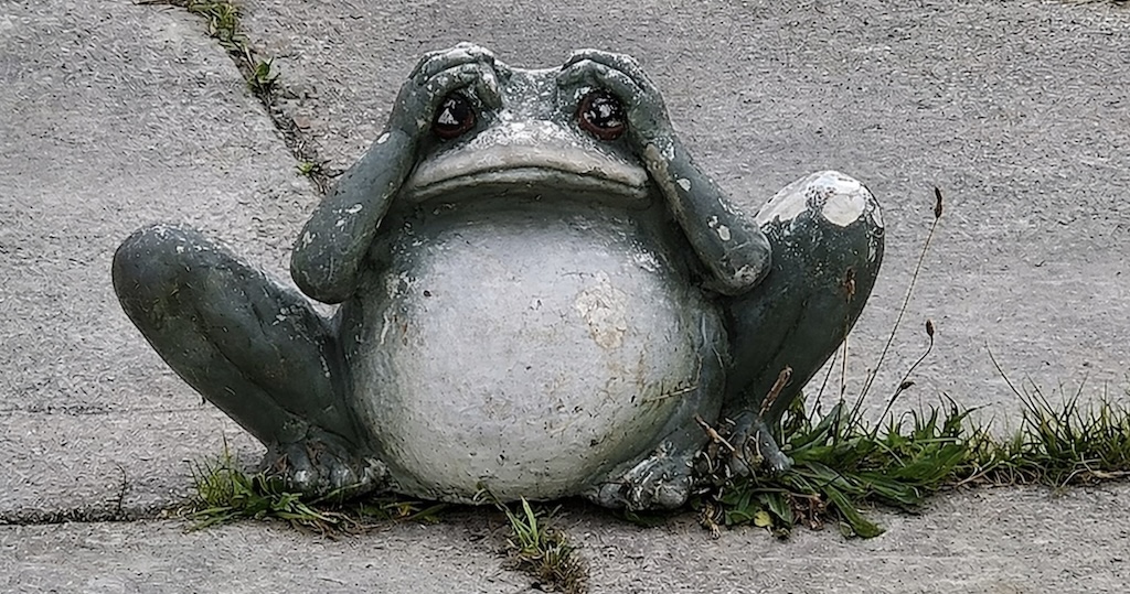 Ook DZ haakt af bij debat Westzaan: alleen met alle partijen