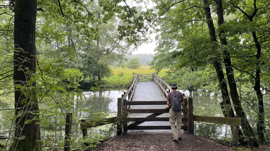 Martin Rep: dwalen door het land van Martha Muis